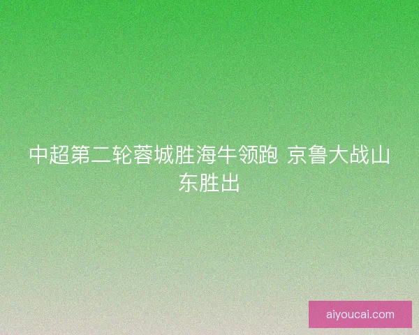 中超第二轮蓉城胜海牛领跑 京鲁大战山东胜出